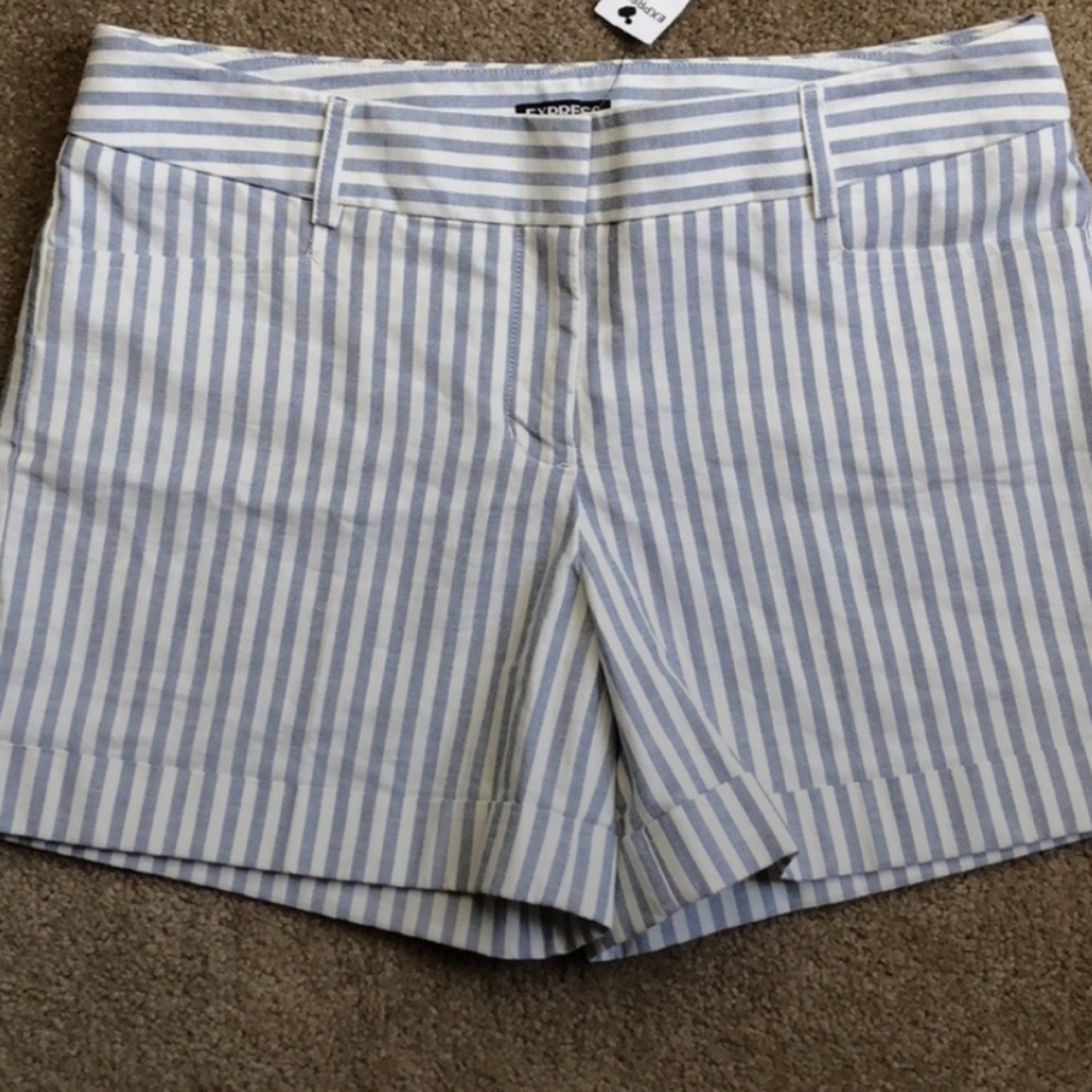 Express Striped Shorts